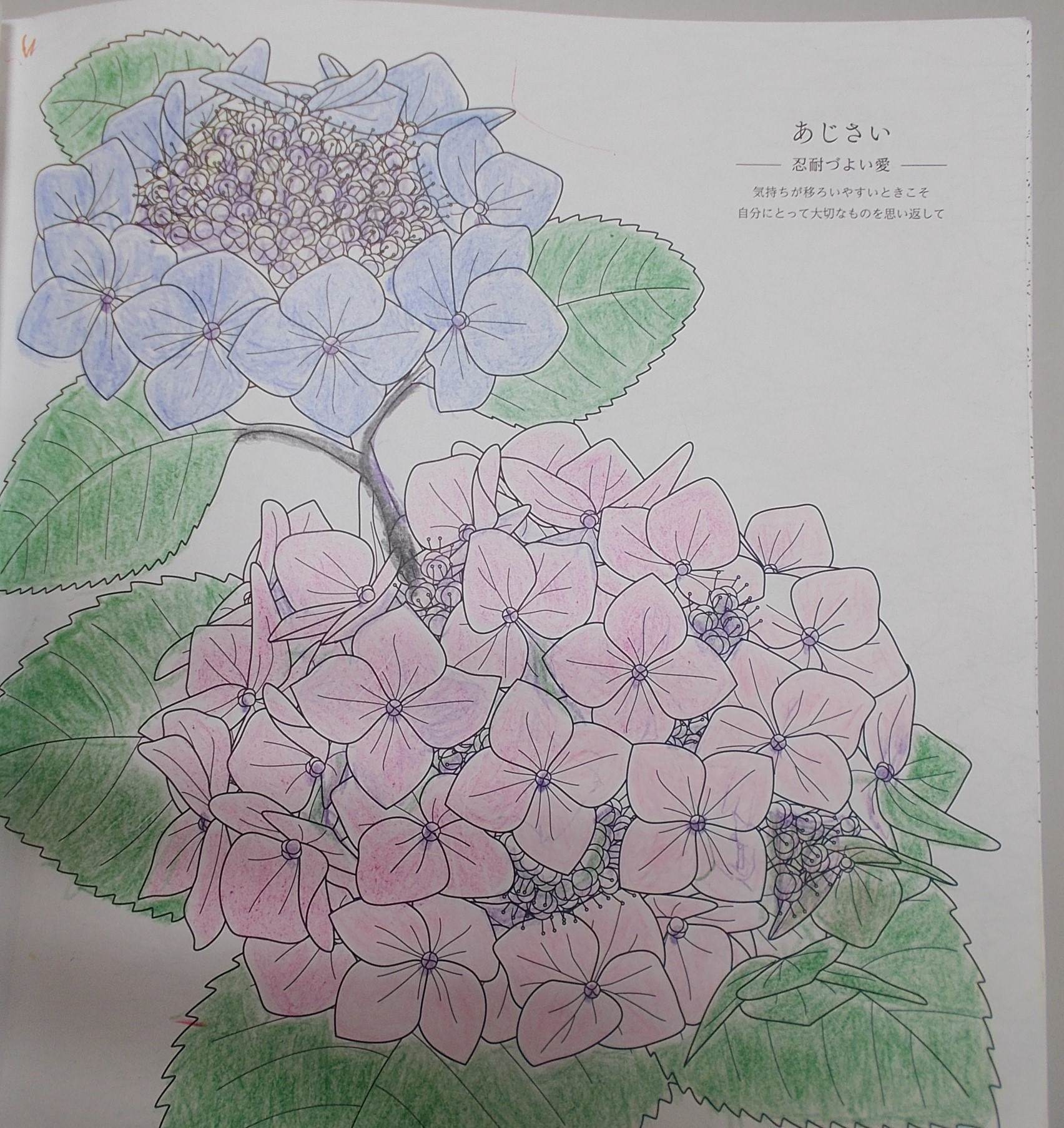 梅雨入りの時期