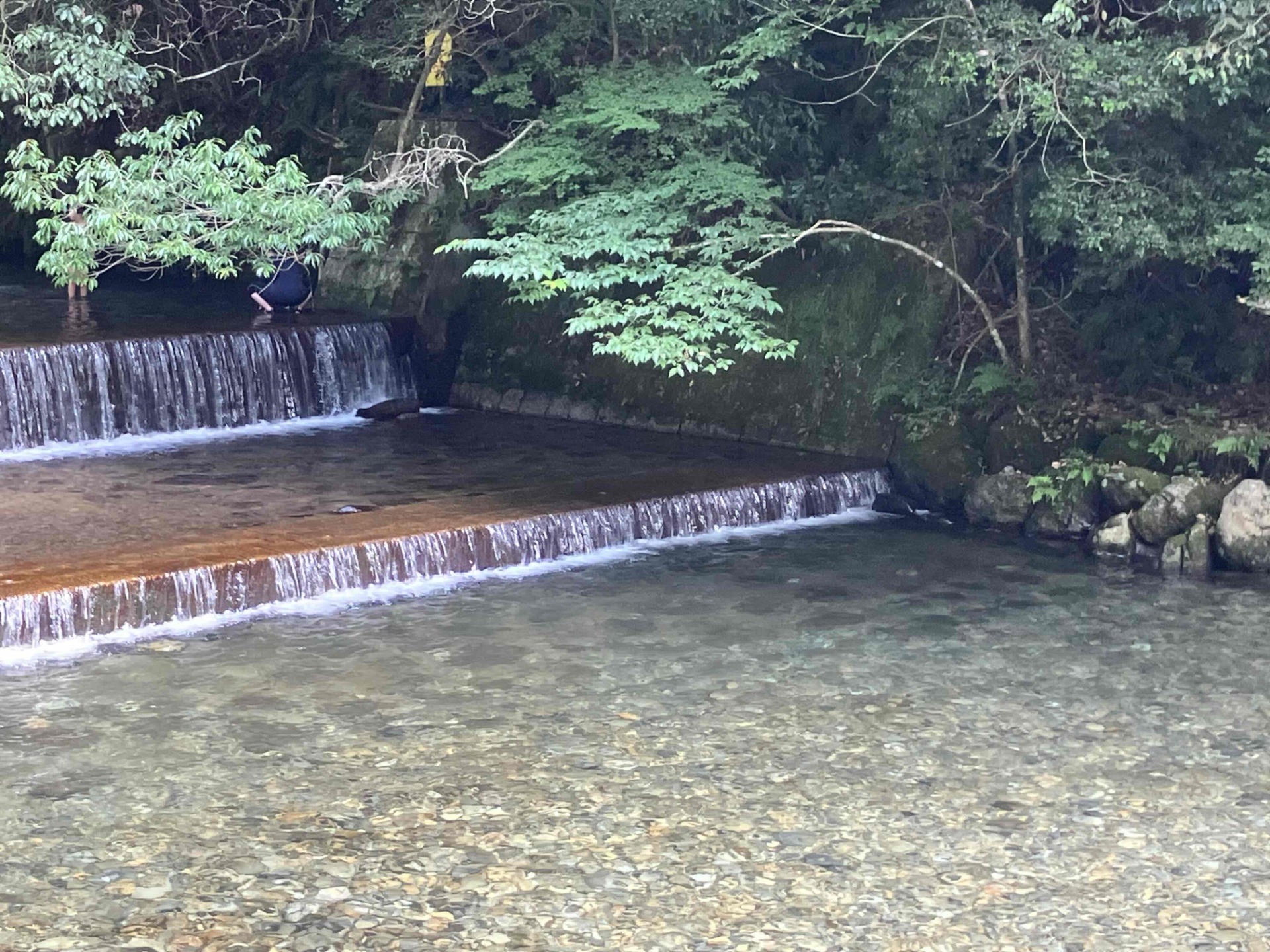 多度峡天然プール💦