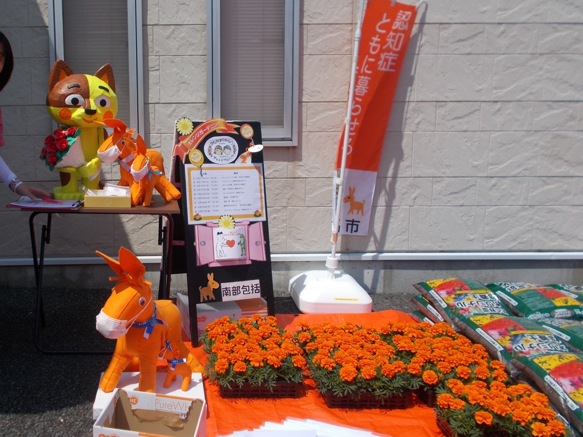 みんなでつなげよう！オレンジプロジェクト✿