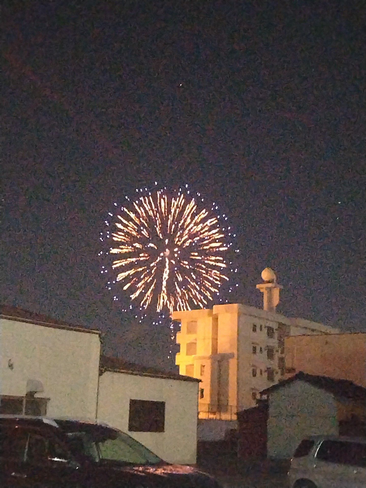 暑い夏には要注意！　ι(´Д｀υ)ｱﾂｨｰ